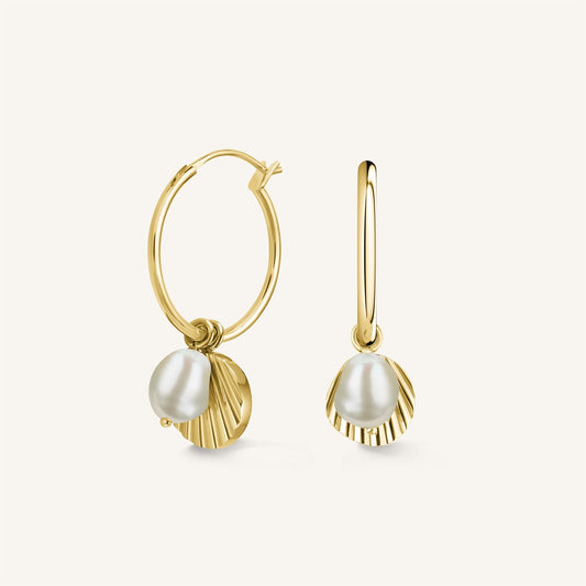 Anneaux coquillage & perle