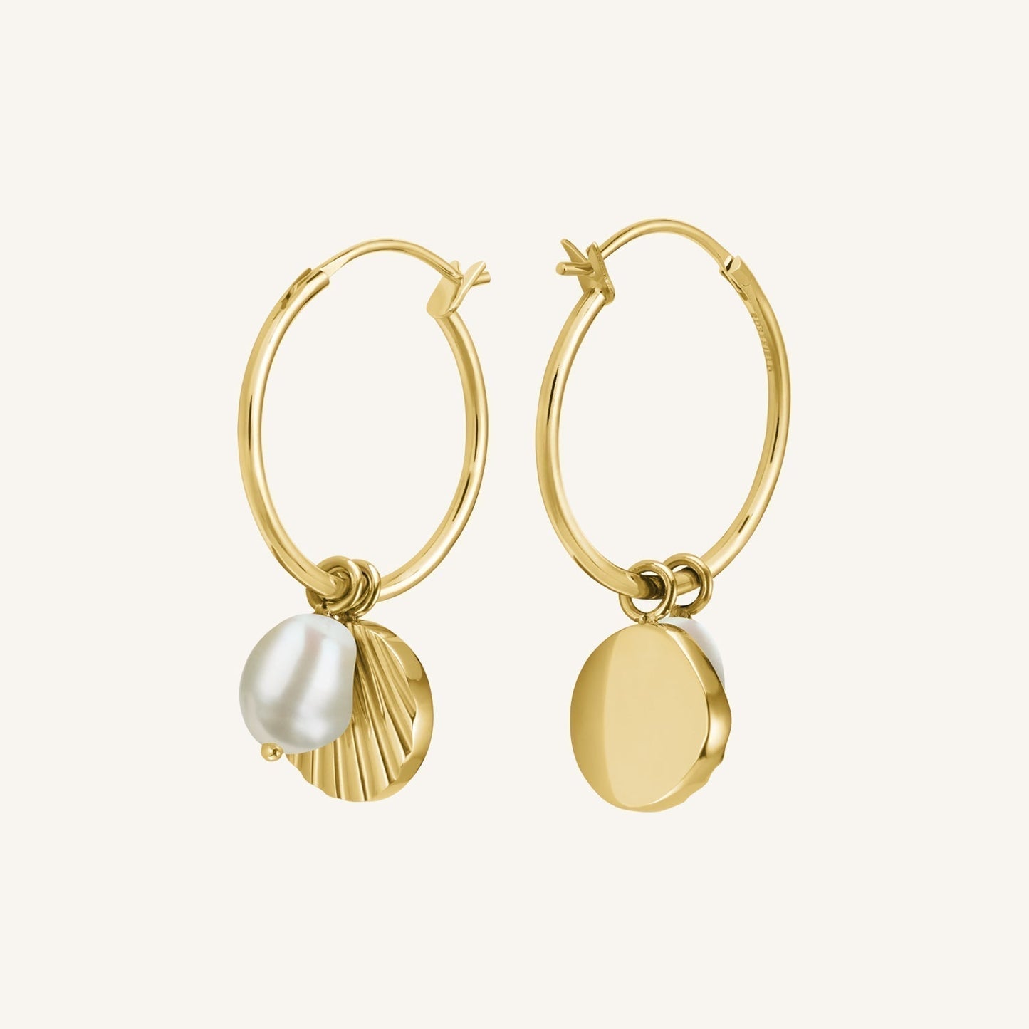 Anneaux coquillage & perle