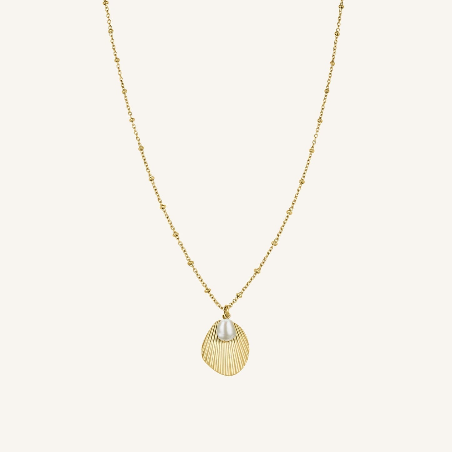 Collier coquillage & perle