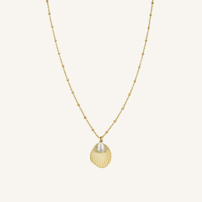 Collier coquillage & perle