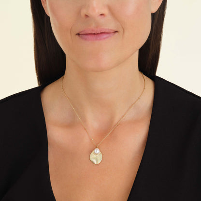 Collier coquillage & perle