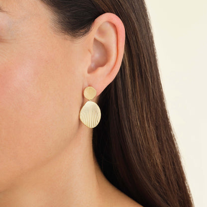 Boucles d'oreilles coquillage