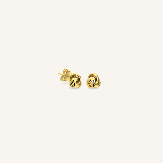Puces Nœud